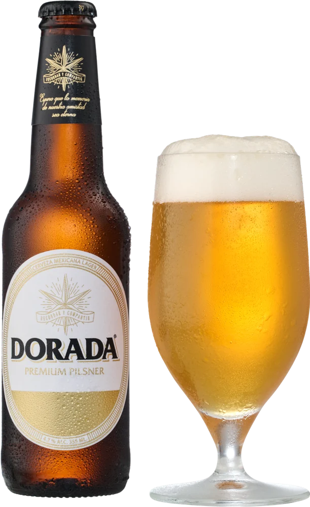 Botella de DORADA junto a la copa servida, con espuma marfil